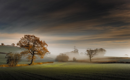 morning november autumn trees light england sky mist color tree green nature beautiful clouds rural canon landscape golden landscapes countryside glow view peaceful gloucestershire fields autumnal treescape canonef2470mmf4lisusm canon6d ericgoncalves