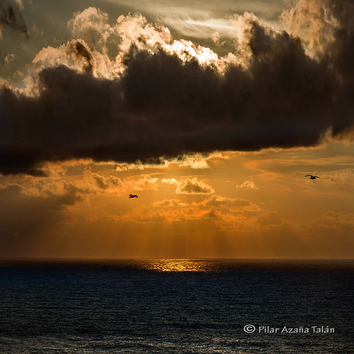 sunset atardecer merrychristmas gratitude feliznavidad agradecimiento saariysqualitypictures copyright©pilarazañatalán pilatazañatalán