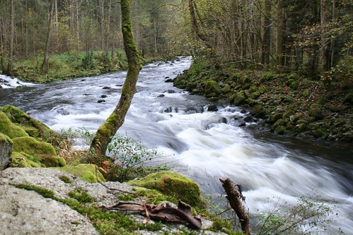 tree water stone forest bayern bavaria waterfall moss wasser wasserfall spray wald stein baum moos bavarian froth bayerischer gischt
