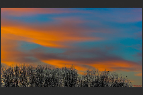 alberi tramonto nuvole cielo colori rami