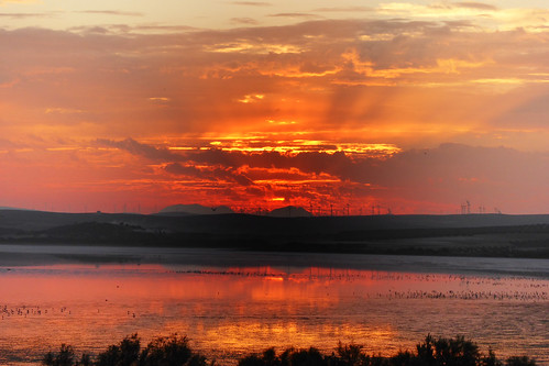 sunset españa andalucía spain lagos puestadesol laguna málaga fuentedepiedra lagunadefuentedepiedra fuentepiedra