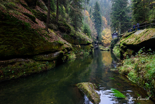autumn nature water rock river landscape nikon czechrepublic cz hřensko d810 ústínadlabemregion nikonafsnikkor1635mmf4gedvr riverkamenice gorgeskamenica nationalparkczechswitzerland
