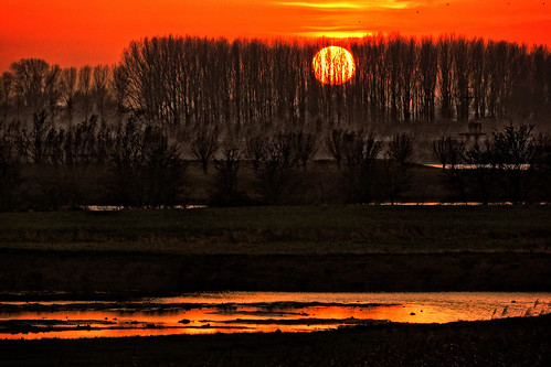 trees sunset red sky sun color colour green nature water netherlands colors yellow contrast river landscape photography utrecht colours photographer sony ngc nederland land wijkbijduurstede provincie reflectionclouds abigfave