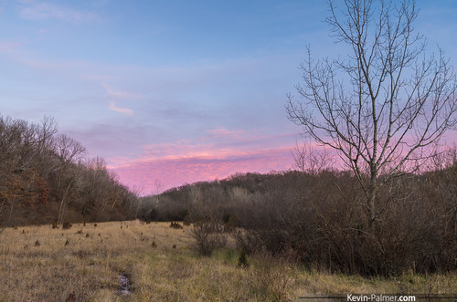 pink trees winter sunset clouds evening illinois woods colorful december dusk hiking bare independencepark marquetteheights tamron1750mmf28 pekinparkdistrict