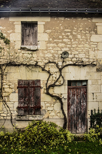 architecture facade landscape pierre paysage maison ancien manse glycine touraine sainemaure