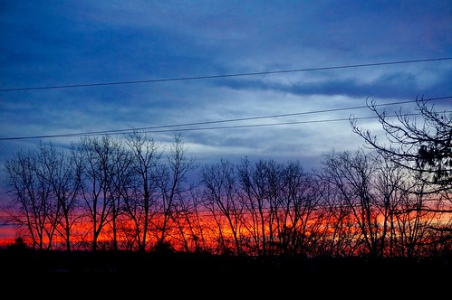 morning trees winter sky fall silhouette sunrise dawn michigan annarbor