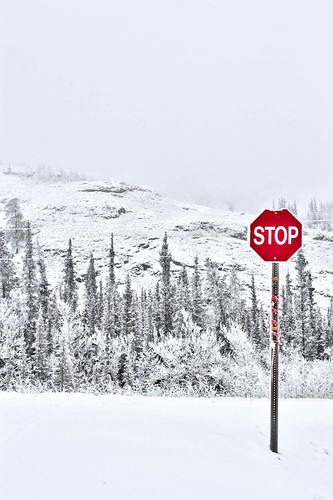 winter snow canada nature beauty sign fog forest landscape outside highway north foggy yukon stopsign northern genre winterweather lowcloud borealforest northof60 rockybluff southernyukon northklondikehighway canon7d
