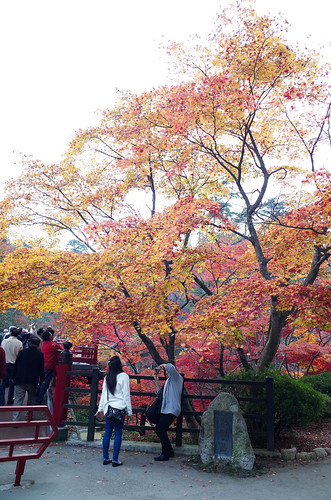 Autumn Color 2