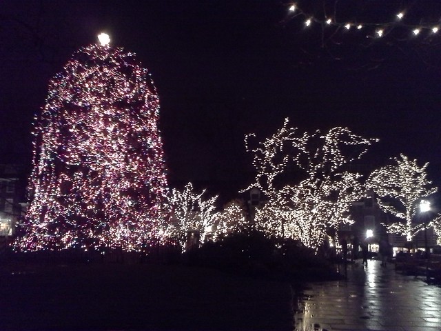 Princeton Christmas Tree