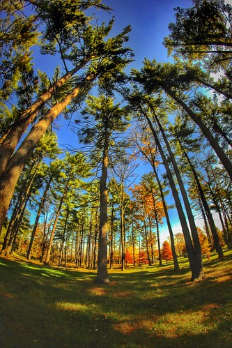 park wood blue camping autumn trees light ohio sky usa brown sun color tree green fall nature beautiful beauty grass canon lens landscape geotagged eos rebel prime woods october focus midwest colorful skies afternoon shadows emotion cincinnati lawn dramatic peaceful wideangle fisheye fixed rays manual campout dslr thursday geotag vignette manualfocus hdr app huddle 2014 hamiltoncounty 500d handyphoto wintonwoods smed rokinon halloweennights teamcanon t1i iphoneedit rokinin snapseed jamiesmed appjamie creepycampout