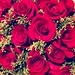 I'm always loving roses ������ #rose