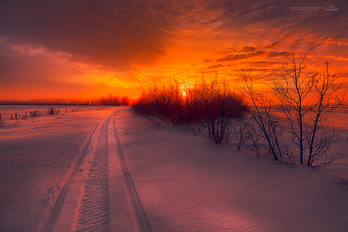 morning winter snow canada sunrise landscape ian dawn nikon path tracks wideangle saskatchewan d800 mcgregor yorkton rokeby