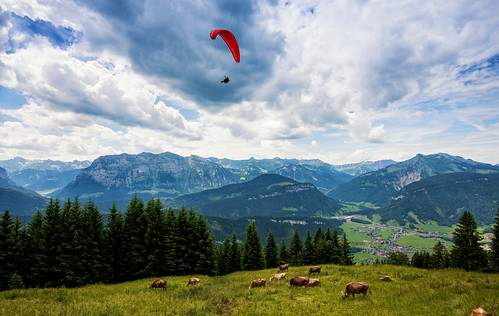 weide landwirtschaft landwirtschaftlich berge alm alpen sonnig landschaft wandern alpe tourismus schwarzenberg wanderweg oesterreich vorarlberg bregenzerwald bezau sennerei sehenswert berglandschaft abgelegen doerflich allgaeueralpen