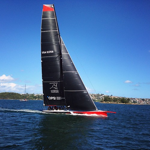 The new American contender in this year's Sydney to Hobart race practicing on the harbour near Manly.