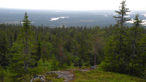 summer lake forest finland landscape geotagged ks july kuusamo fin 2014 iivaara koillismaa 201407 20140715 geo:lat=6580117020 geo:lon=2967580748