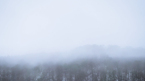 schnee winter snow berg fog landscape deutschland kalt landschaft rheinlandpfalz westerwald neuwied wied monoton altwied mittlgebirge