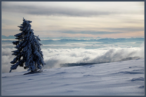 schnee winter snow canon germany deutschland schweiz view wolken peak alpen aussicht schwarzwald blackforest fichte badenwürttemberg gipfel belchen fernsicht eos600d