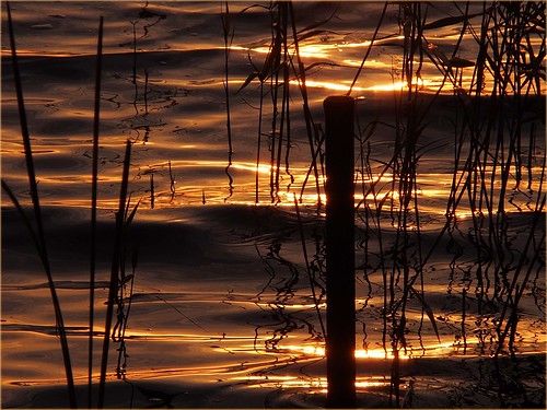 sunset lake water golden see evening wasser sonnenuntergang 2014 goldenlight wasserspiele goldeneslicht ostseeleuchte goldenelichtspiele