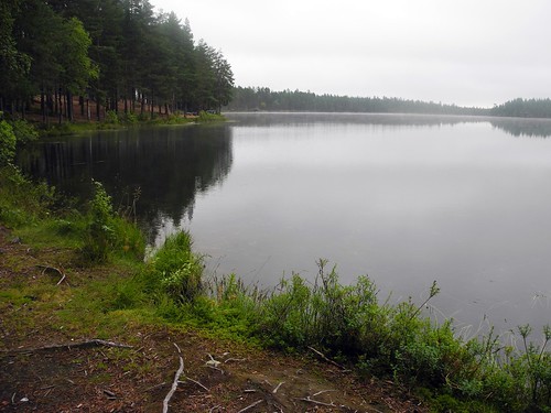 summer lake finland landscape geotagged july fin kp 2014 pyhäntä 201407 pohjoispohjanmaa 20140730 kontiolampi geo:lat=6412246107 geo:lon=2658811568