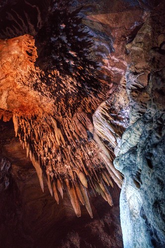 victoria limestone buchan stalactite gippsland devonian royalcave buchancaves