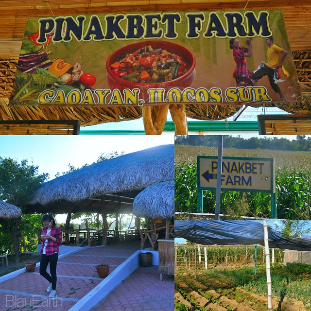 Pinakbet Farm