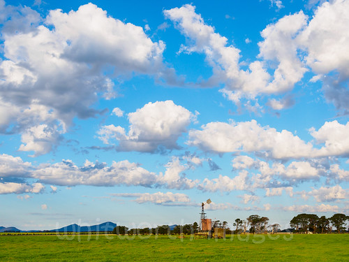 blue trees sky green windmill field grass clouds rural landscape outdoors farm peaceful australia victoria agriculture dunkeld agricultural paddock strathkellar