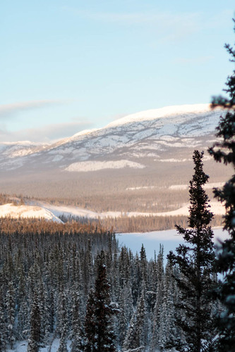 trees sunset canada mountains cold nature beauty landscape outside north yukon valley mountainside northern genre borealforest northof60 southernyukon deepcold yukonrivervalley canon7d