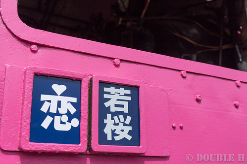 Pink SL at Wakasa Railway (39)