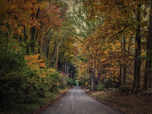 cameraphone road autumn trees fall rural bedford foliage westchestercounty iphone