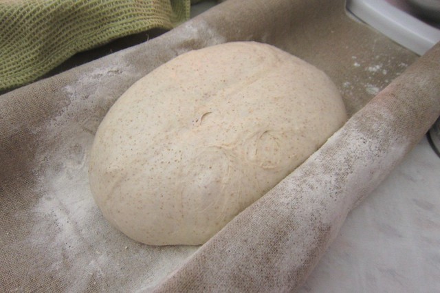 卡須麵包 1412