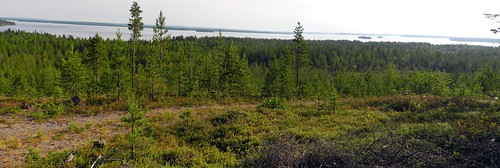 summer panorama lake forest finland landscape geotagged ks july kuusamo fin stitched 2014 koillismaa 201407 muojärvi kantokylä muokangas 20140715 koskenkyläntie geo:lat=6590778553 geo:lon=2959047318 muosalmi