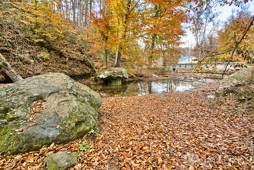 autumn fall creek pond kentucky ky pineknob