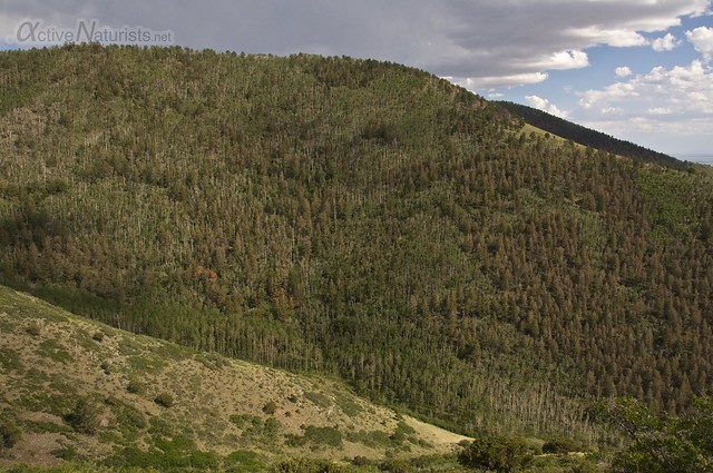view 0005  Orient Land Trust, Colorado, USA
