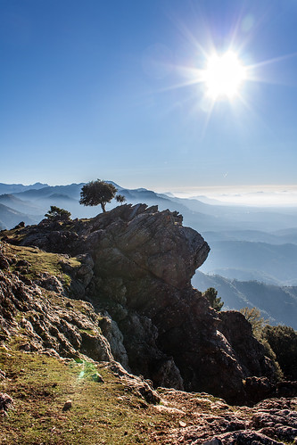 portrait sun mountain mountains tree nature fog landscape spain rocks hills jaén cazorla sierradecazorla naturalpark