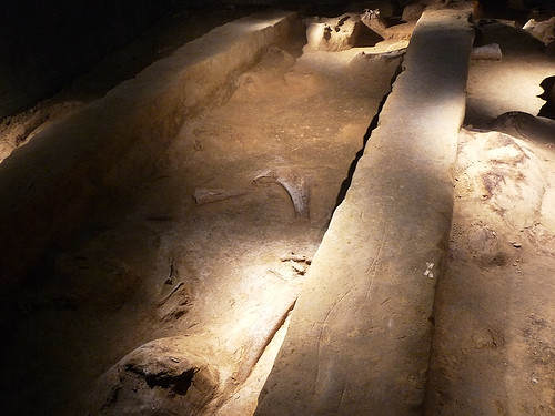 Archeopark Pavlov: Jednou nohou v pravěku