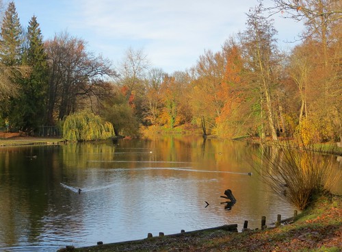 park autumn fall germany deutschland pond herbst teich wolfenbüttel stadtgraben niedersachsen lowersaxony