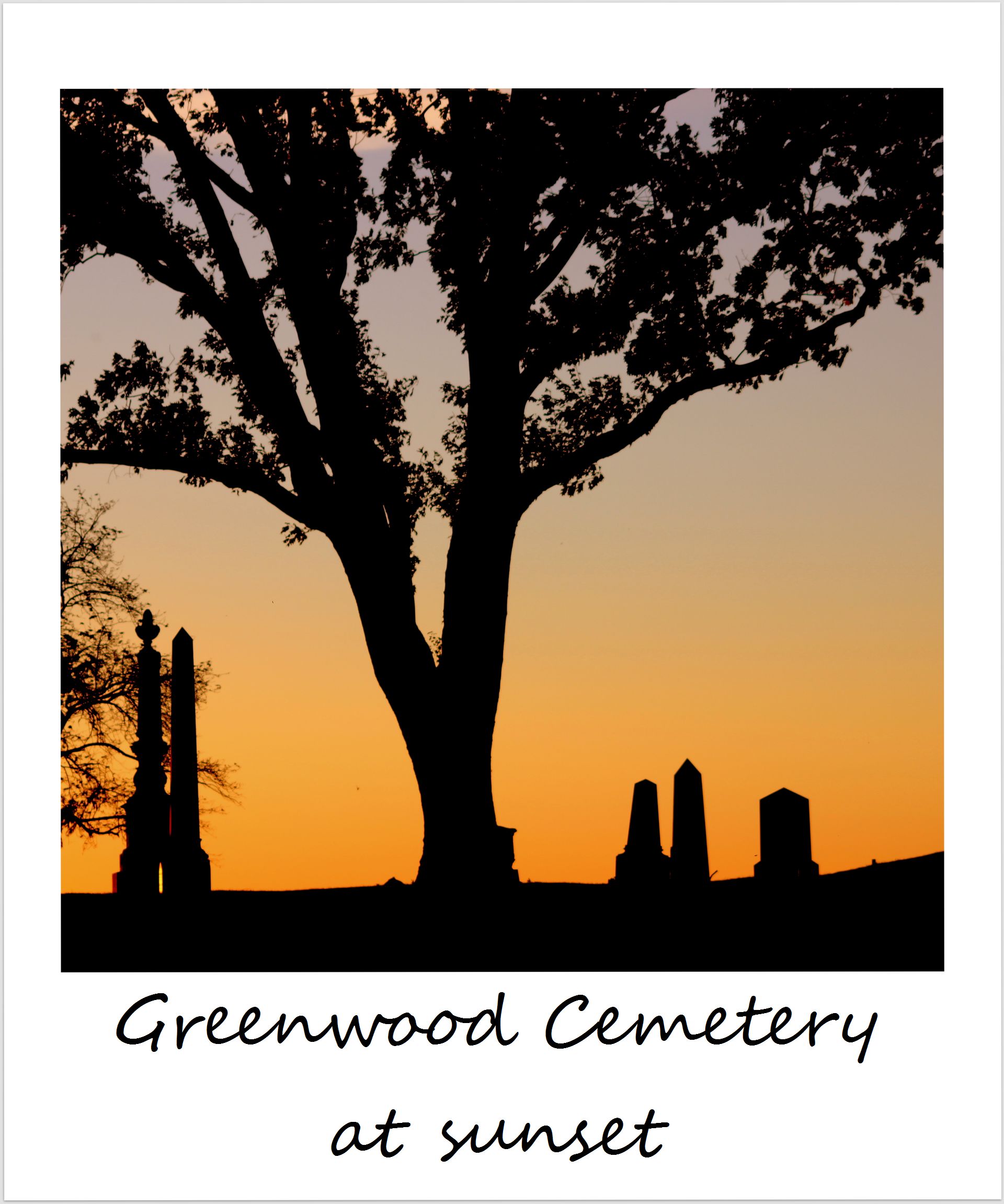 polaroid of the week usa new york city brooklyn greenwood cemetery