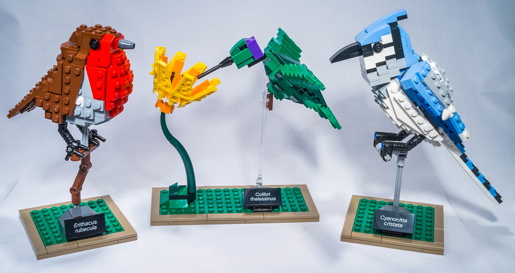 REVIEW LEGO 21301 - Ideas #009 - Birds - HelloBricks