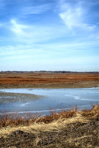 winter rural river landscape illinois unitedstates il wetlands nationalwildliferefuge lewistown emiquon