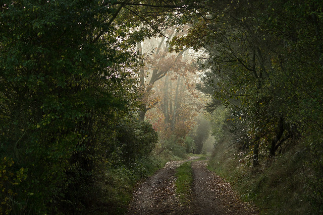 The Back Roads of Jutland