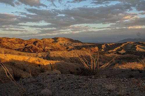 california sunset anzaborrego desertview ocotillo anzaborregodesertstatepark coloradodesert ocotillowells westbutte desertweirdness