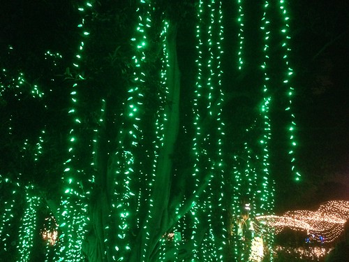 LA Zoo lights