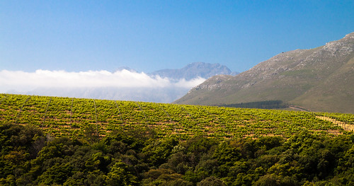 blue trees sky mountains green clouds southafrica vines wine vineyards stellenbosch westerncape wineestate rustenvrede hottentotshollandmountains