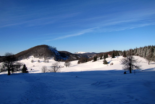winter snow field landscape hiking land ontheway táj tájkép hó mező tél túra útban kakastaréj canonpowershotsx20is gutinhegység munţiigutâi ökörmező munţiigutin câmpulboului oxfield