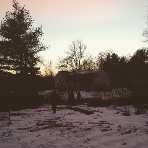 sunset chickens square farm slumber maine ducks traditions wintersolstice squareformat yule rituals farmlife solsticetree iphoneography bradstreetfarm instagramapp uploaded:by=instagram december212014