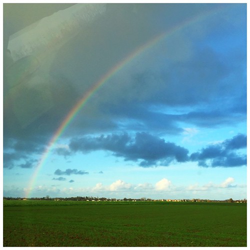 christmas trees winter sky france grass clouds square landscape rainbow day squareformat rainbows normandy iphoneography