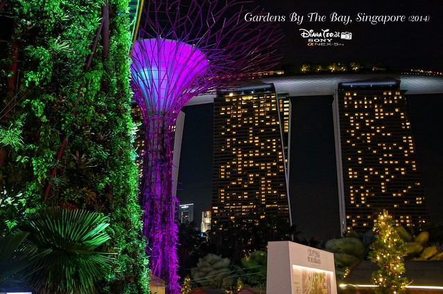 Singapore - Gardens By The Bay 18