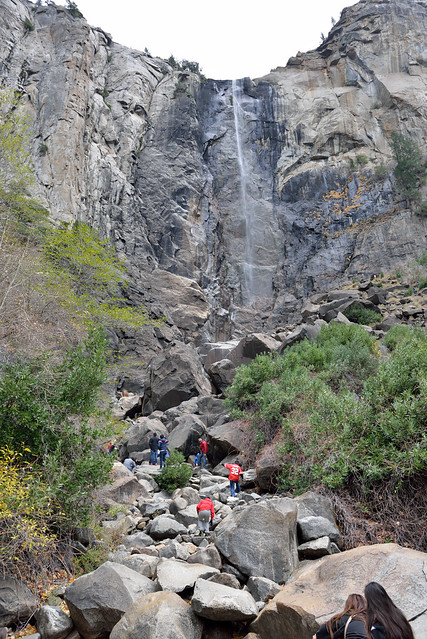 【新娘面纱瀑布 Bridalveil Fall】大部份的人都遠遠的看，但也有遊客會爬到石頭上，甚至更靠近瀑布一些，現場沒有看到禁止的標示就是了