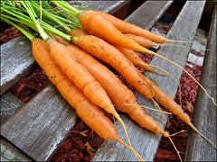 Carrots, close up