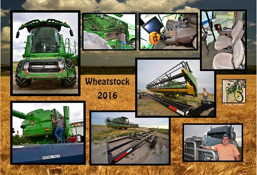 wheat farming combine kansas agriculture johndeere stpeter farmequipment wakeeney grahamcounty tregocounty s670